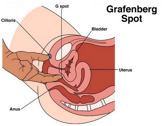 where is the gspot? how to find a women's pleasure button